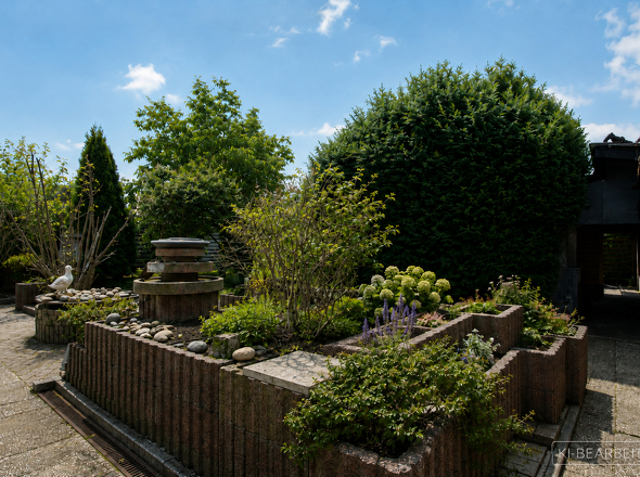 Garten (KI bearbeitet)
