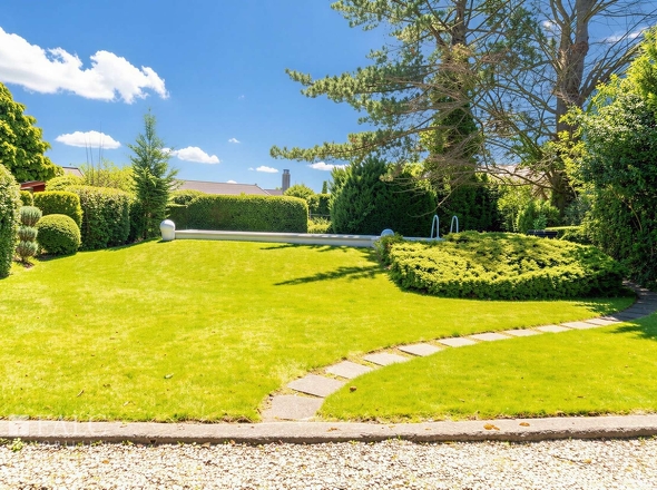 Blick in den Garten