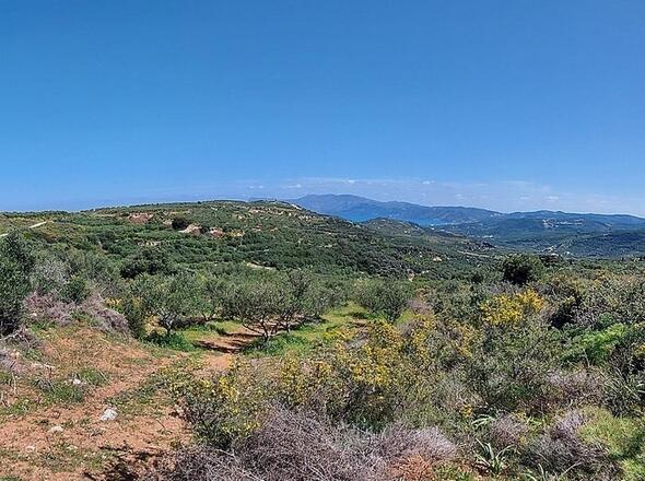 Aussicht