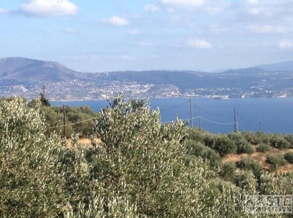 Aussicht