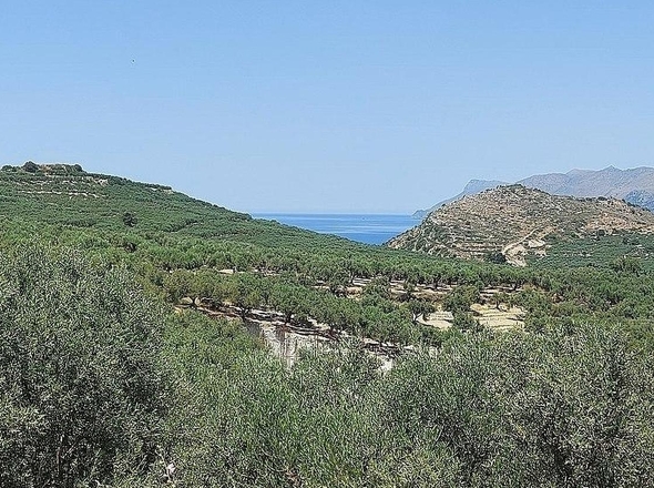 Aussicht