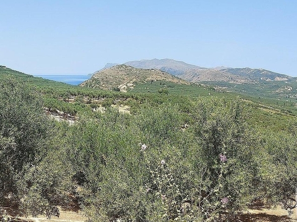 Aussicht