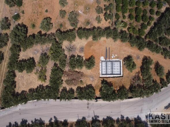 Vogelperspektive