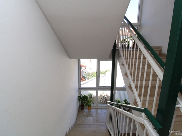 Treppe 