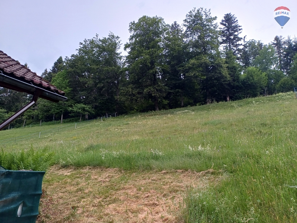 Wiese hinter dem Haus