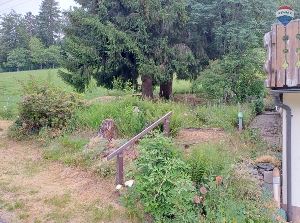 Garten 01