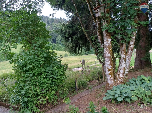 Garten 02