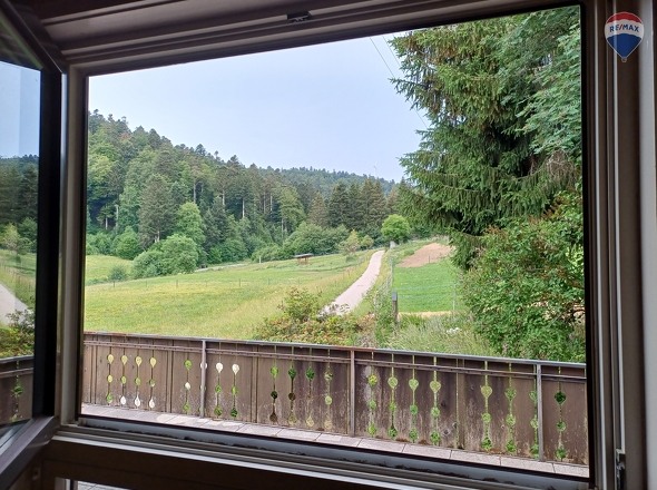 Aussicht Küche