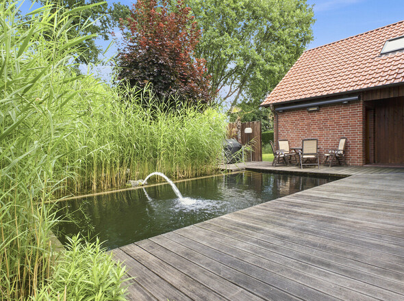 Schwimmteich