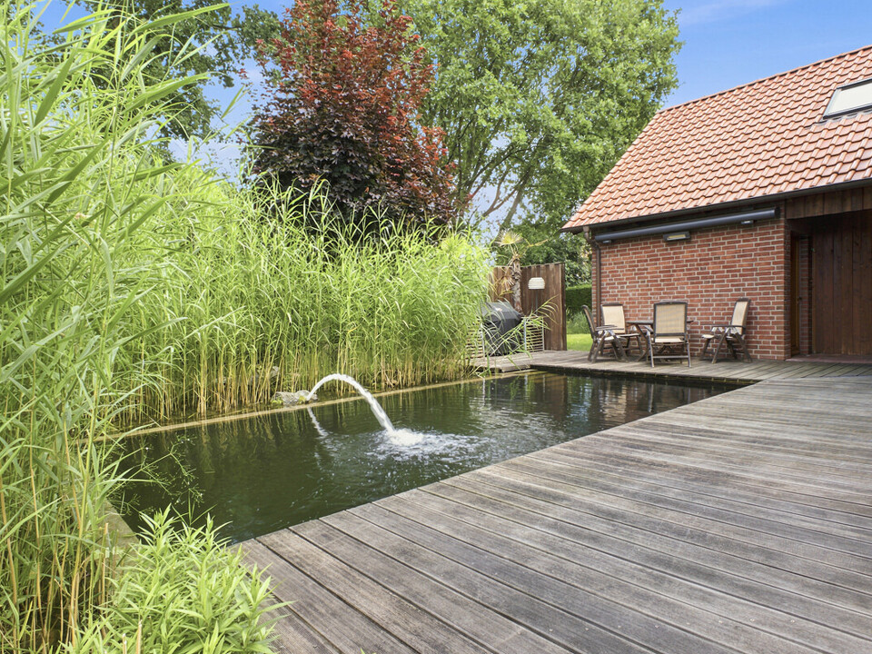 Schwimmteich