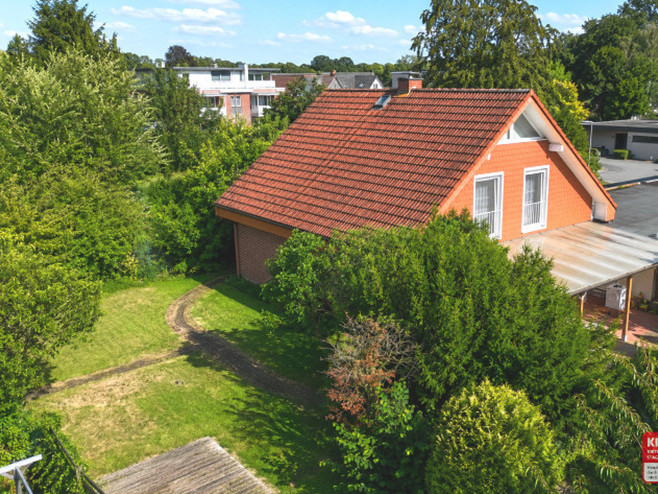 Drohnenaufnahme (mit KI bearbeitet)