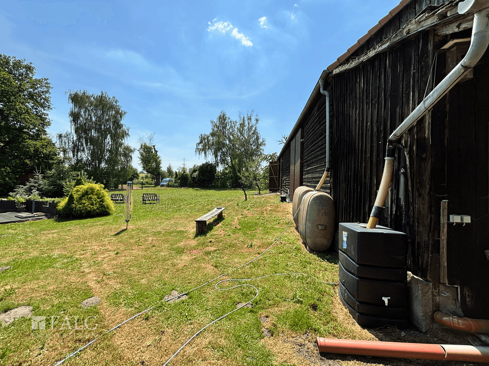 Garten_2