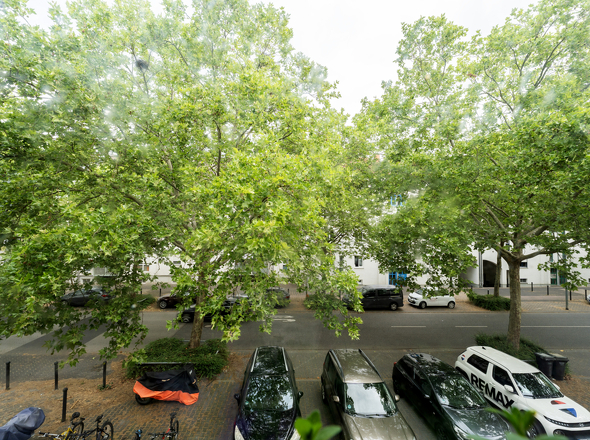 Blick aus der Wohnung
