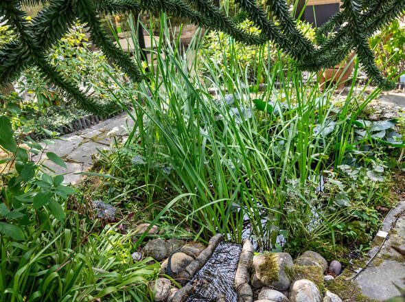 Garten