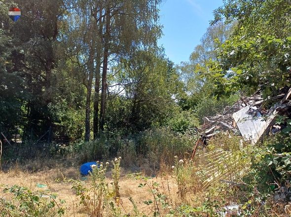 Ansicht Garten 1