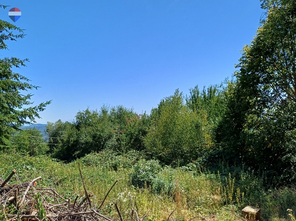 Ansicht Garten 2