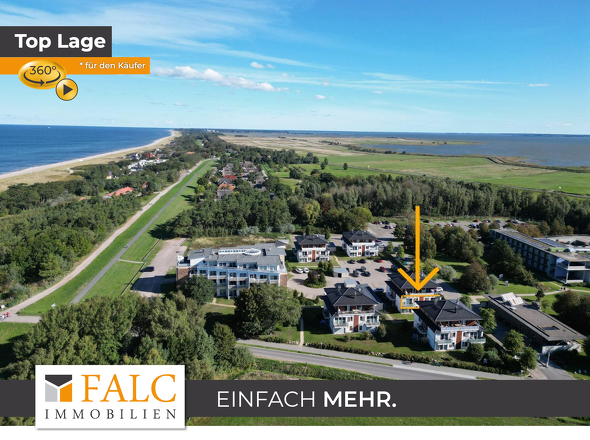 FALC-overlay-image