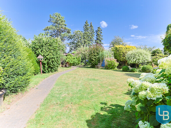 Blick in den Garten