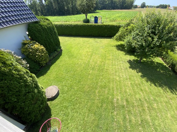 Blick in den Garten