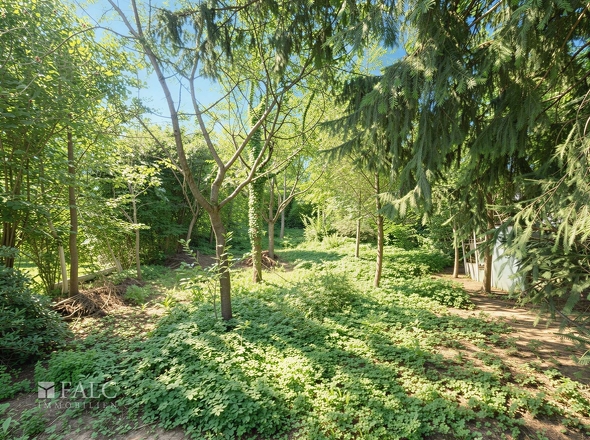 Garten - (KI generiert)