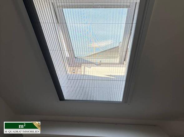 Dachfenster mit Moskitoschutz