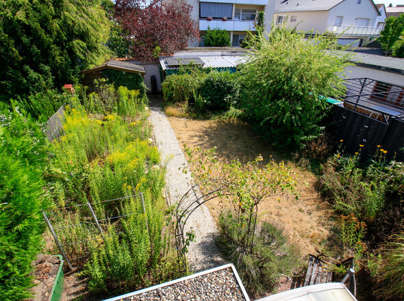 Blick 2 Garten