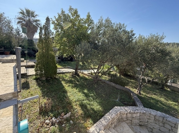 panorama-scouting-H3979-6