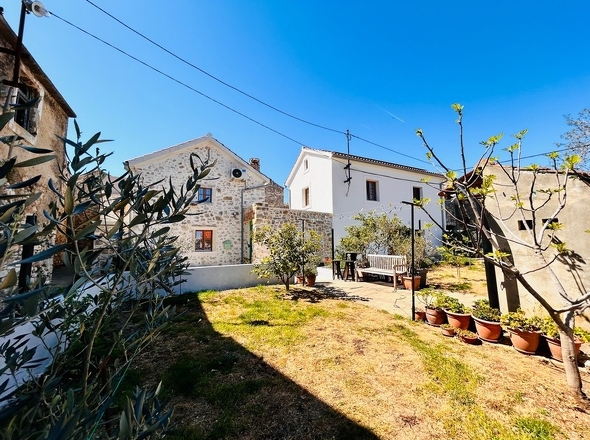 panorama-scouting-H3990-10