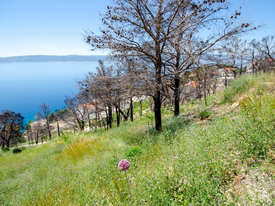 panorama-scouting-G491-2