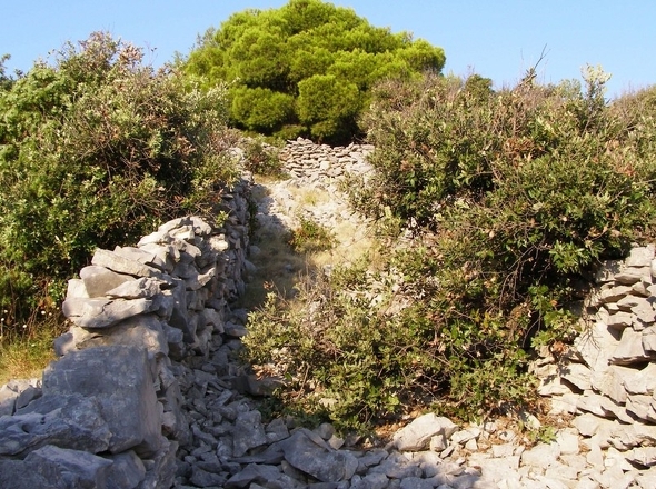 panorama-scouting-G492-3