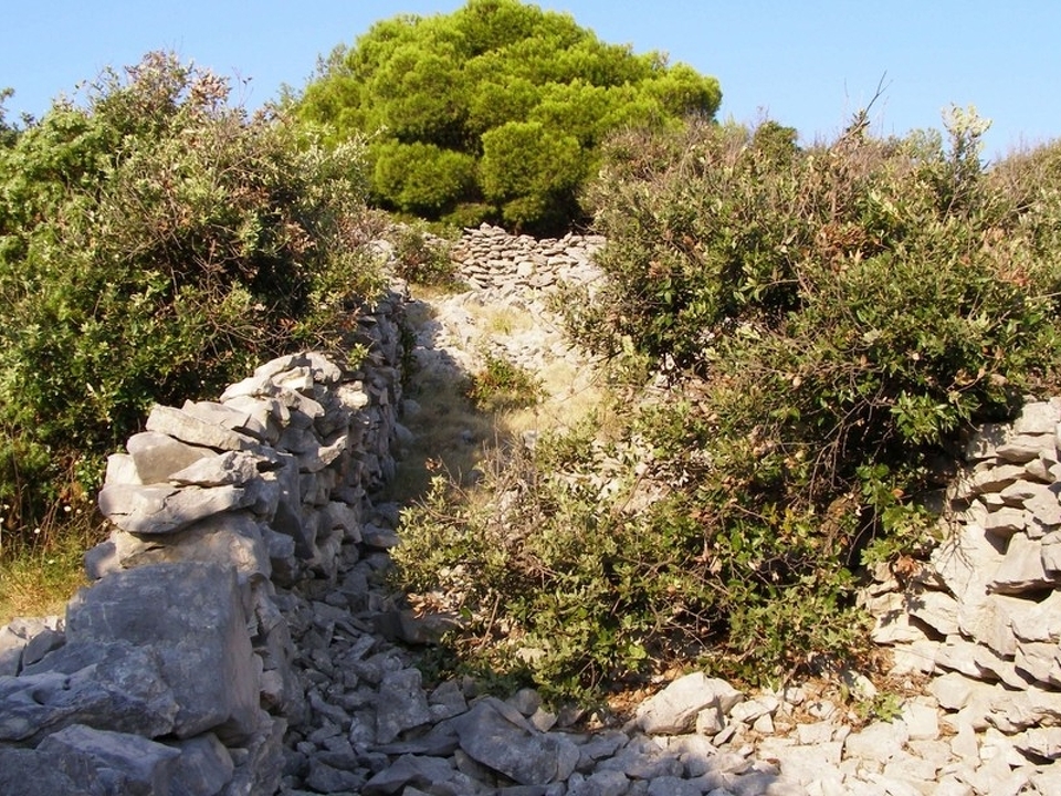 panorama-scouting-G492-3