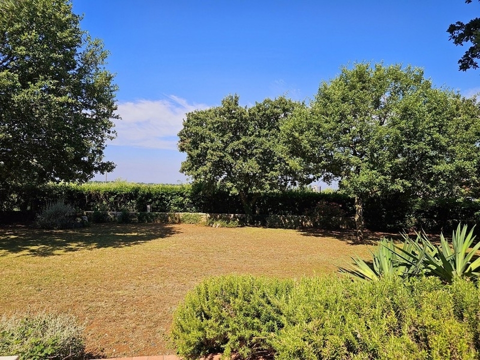 panorama-scouting-H4026-14