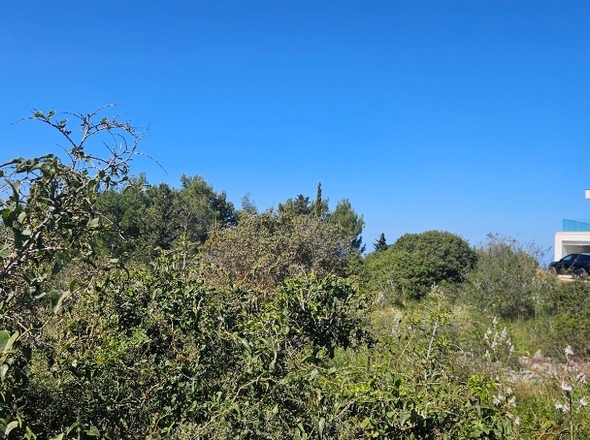 panorama-scouting-G493-9