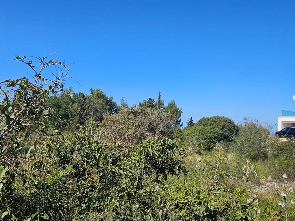 panorama-scouting-G493-9