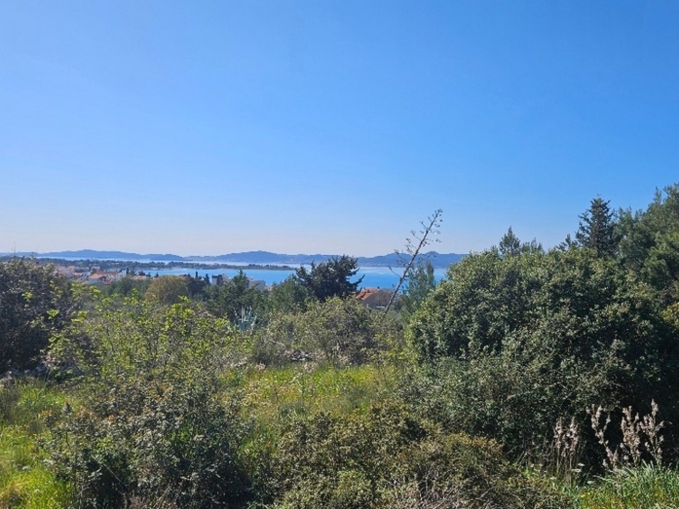 panorama-scouting-G493-2
