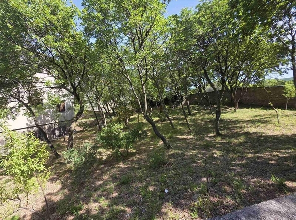 panorama-scouting-H4039-15