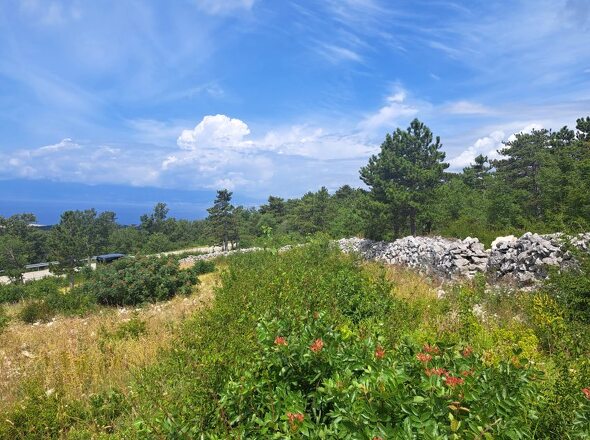 www.panorama-scouting.de