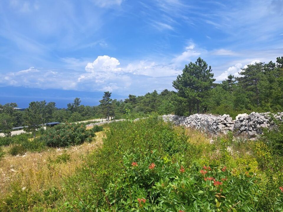 www.panorama-scouting.de