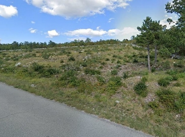 www.panorama-scouting.de