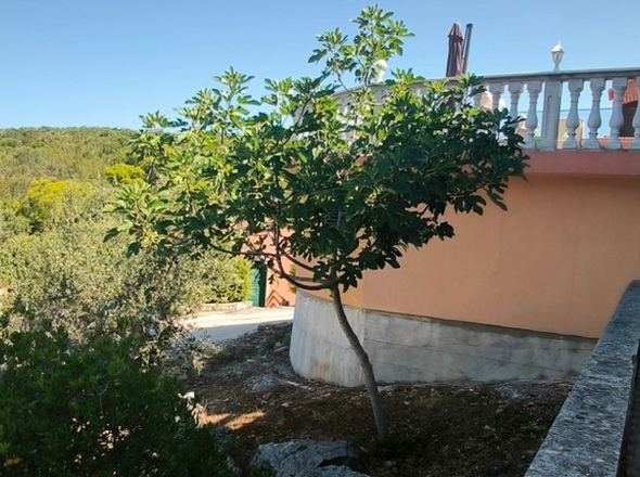 panorama-scouting-H3686-17