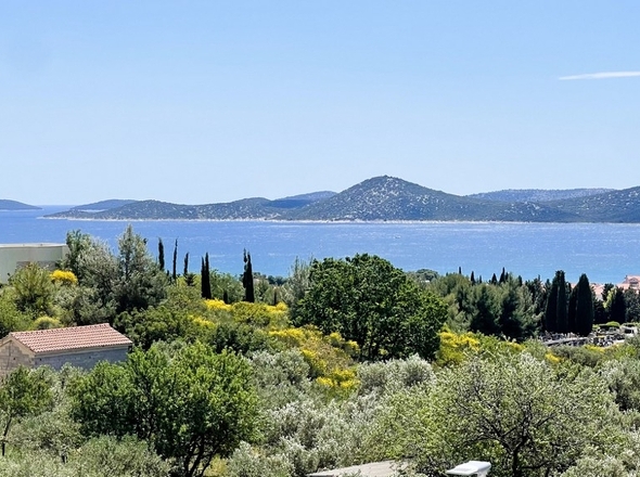 panorama-scouting-H3758-37