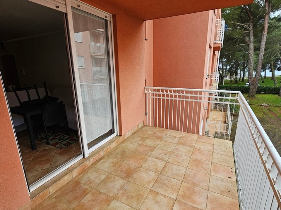 panorama-scouting-A3862-1