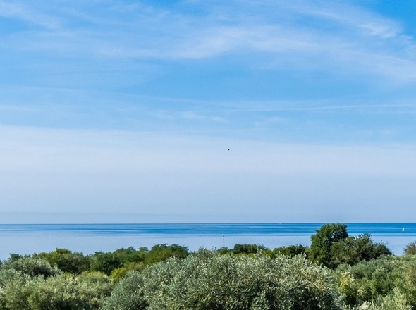 panorama-scouting-A3869-7