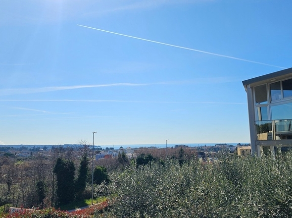 panorama-scouting-A3873-16