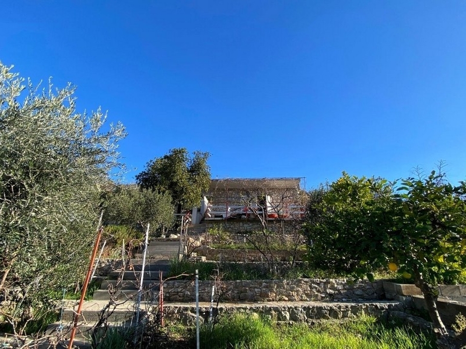 panorama-scouting-H3844-6