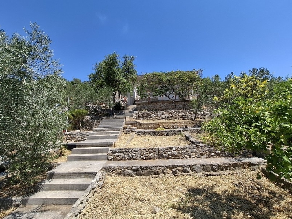 panorama-scouting-H3844-5