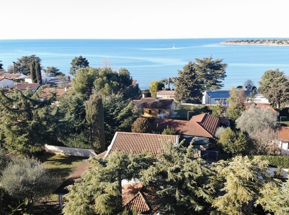 panorama-scouting-H3855-18