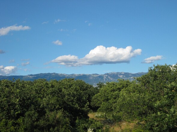 panorama-scouting-H3859-12