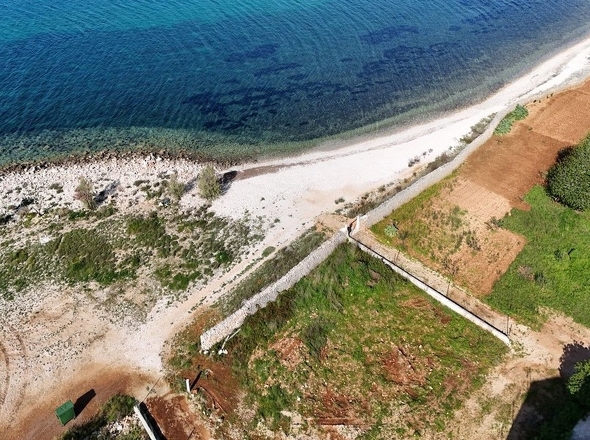 panorama-scouting-G488-3