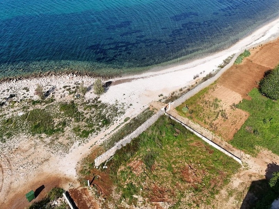 panorama-scouting-G488-3